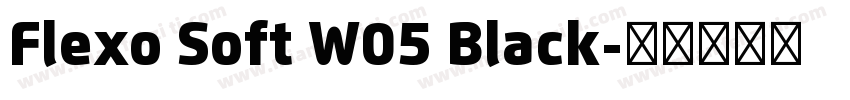 Flexo Soft W05 Black字体转换